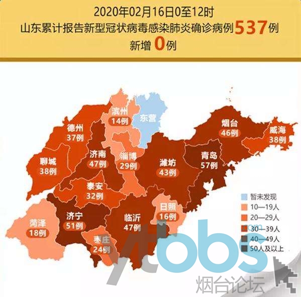 山東最新疫情動態，新增病例分析與關注