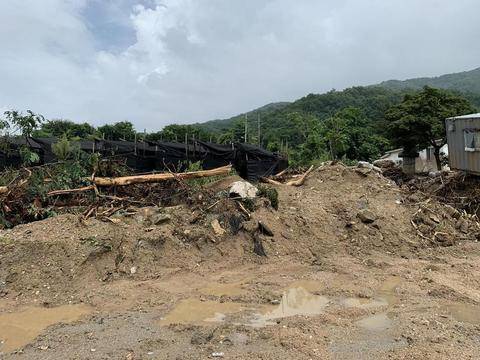 韓國遭遇臺風襲擊，災害影響分析與最新動態