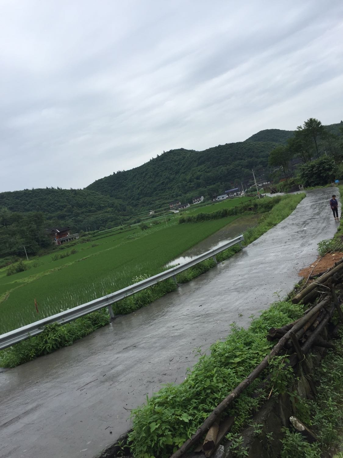 路美村最新天氣預報,路美村最新天氣預報