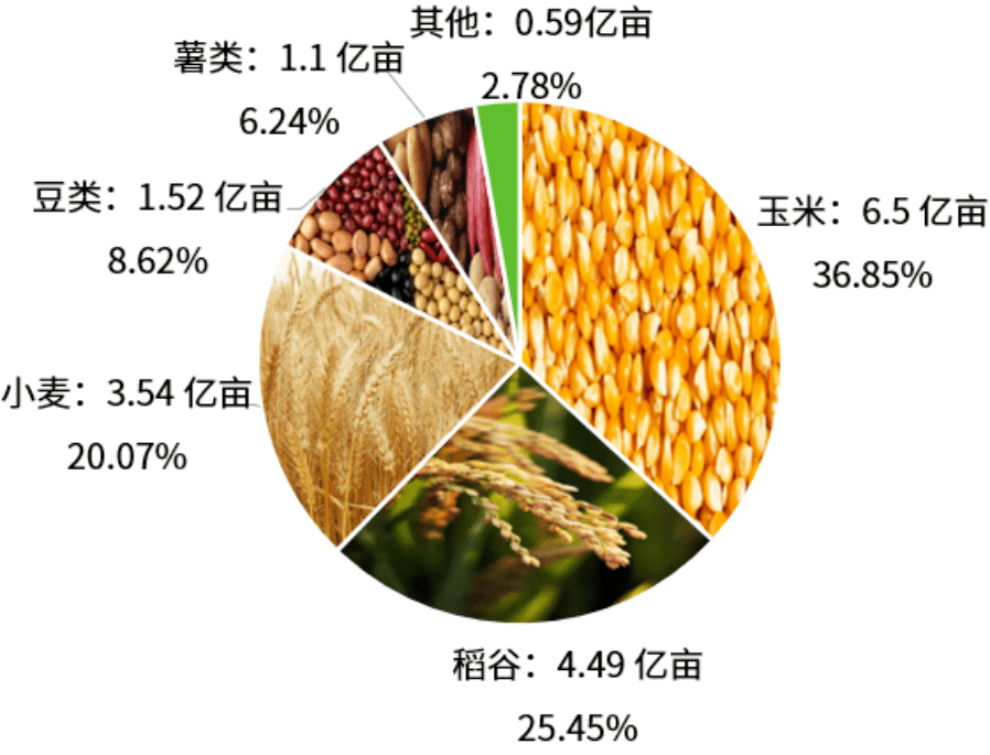 中國糧食最新情況概覽，最新動態與數據分析報告