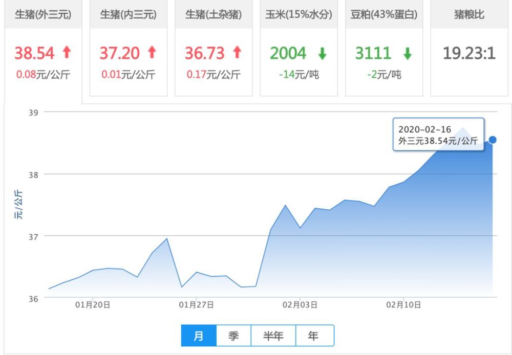 今日生豬價(jià)格動態(tài)，最新市場走勢分析與預(yù)測