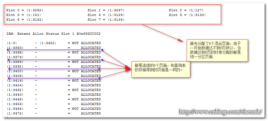 新澳門六開獎(jiǎng)結(jié)果記錄,深入解析數(shù)據(jù)策略_尊貴款53.211