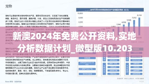 2024年新澳精準正版資料免費,動態調整策略執行_投資版17.637