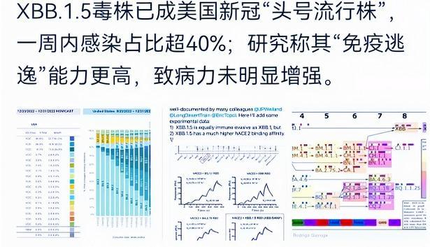 呂四最新病毒深度解析與應(yīng)對策略