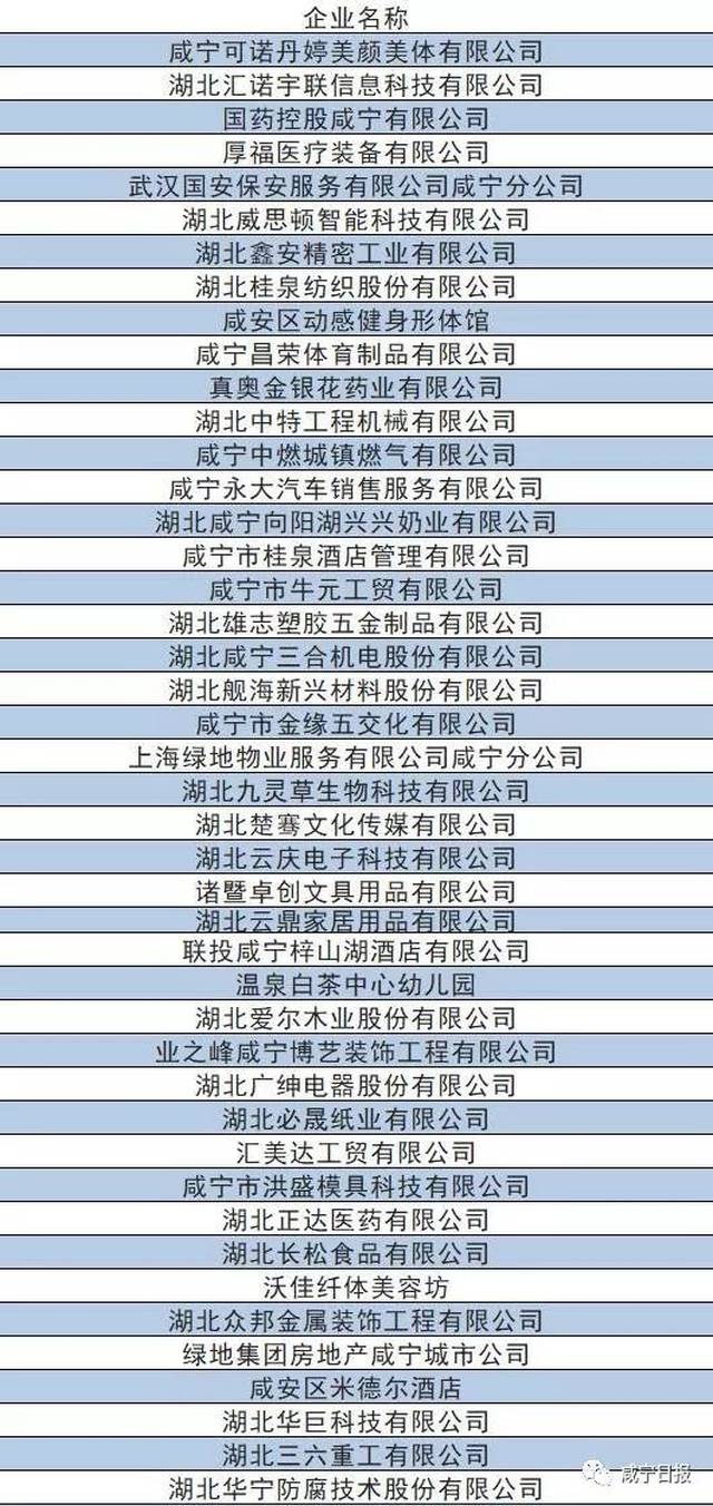 咸寧市企業調查隊最新招聘信息全解析