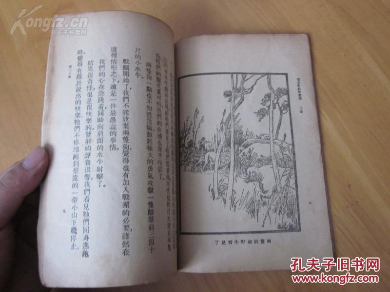 一集最新小說,一集最新小說的魅力，探索未知世界的新篇章