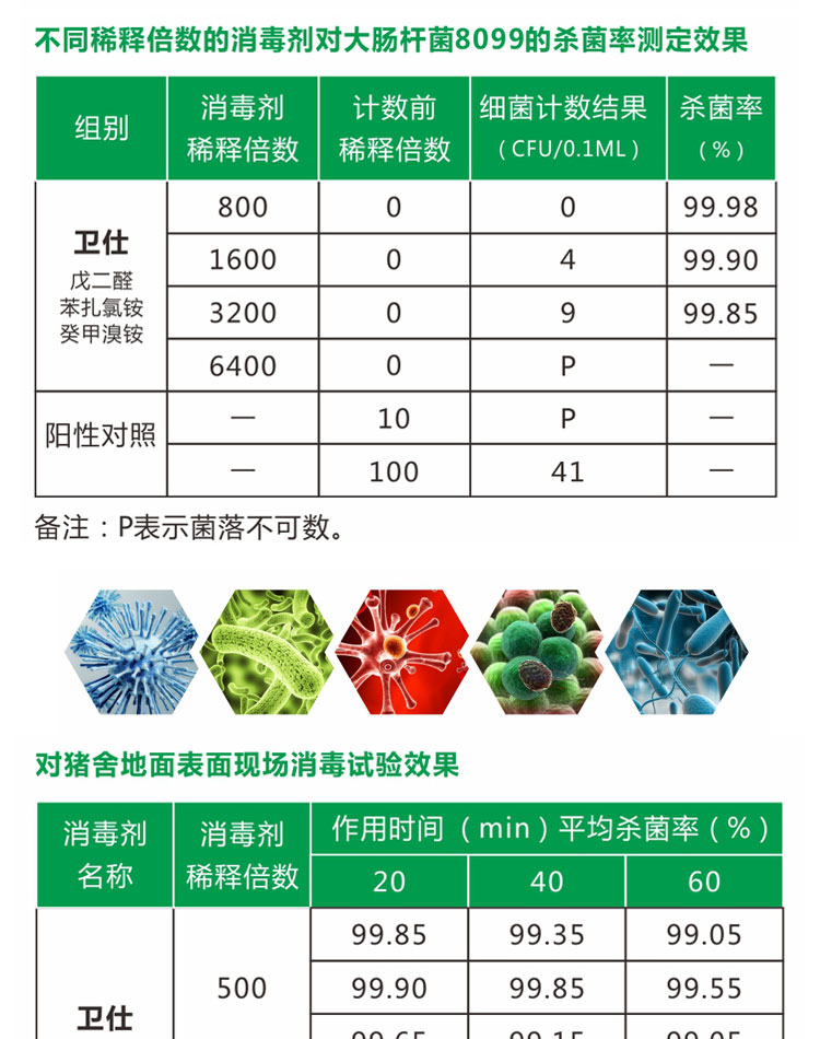 全球畜流感最新動態(tài)，防控形勢與應(yīng)對策略更新報道